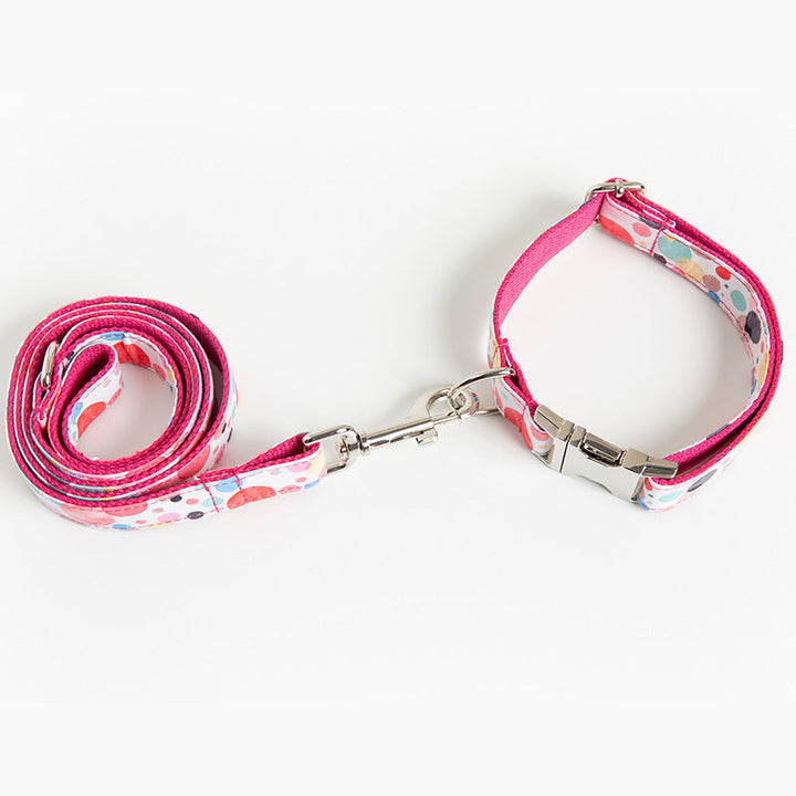 Bubble Pet Collar Leash: The Perfect Blend of Style and Functionality