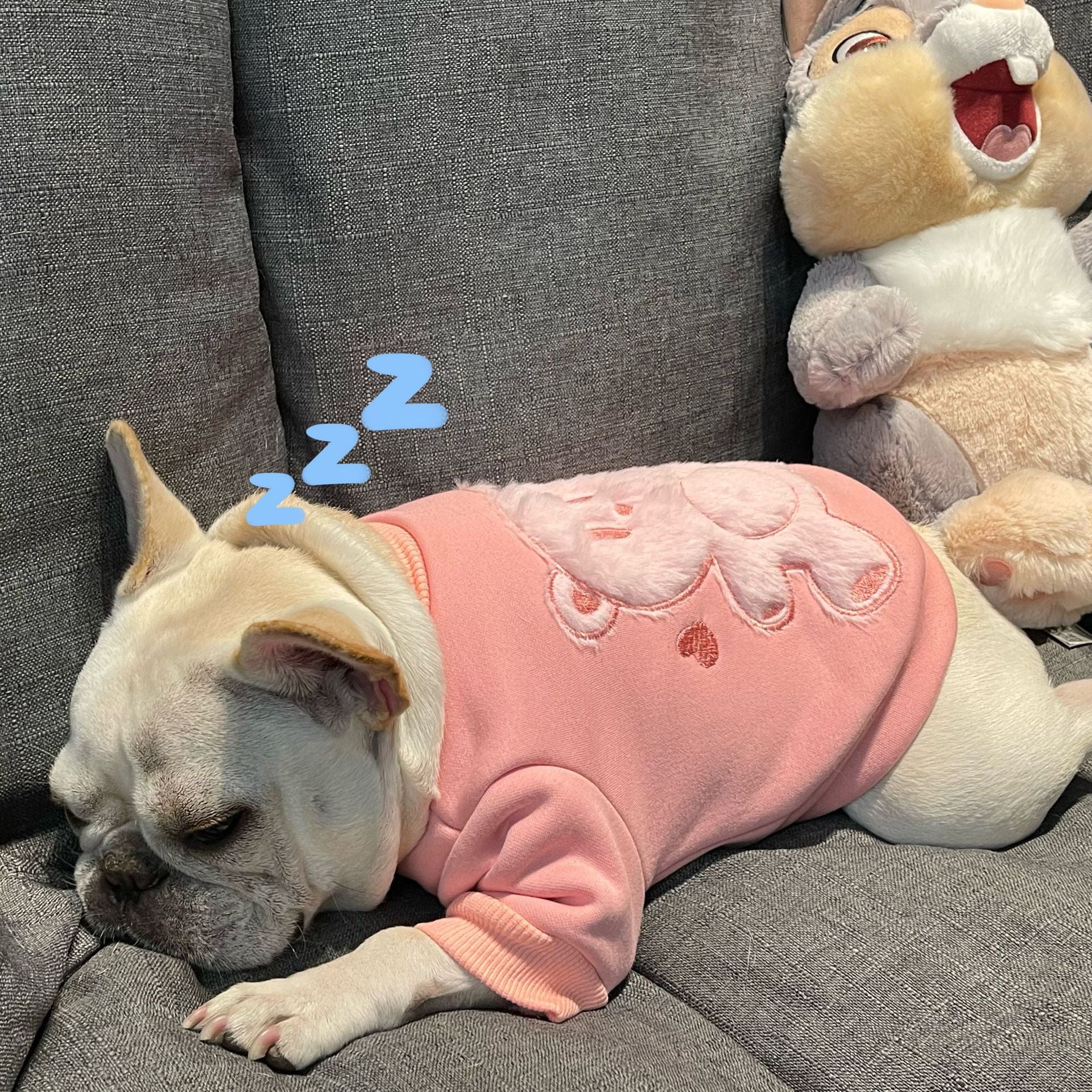 Dress Your Pup in Style with Our Plush Princess Sweater!