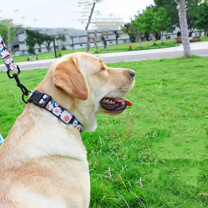 Transform Your Walks with the Pet Leash Vest Type Universal Chest Back