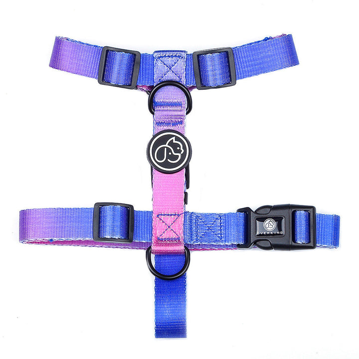 The Perfect Leash for Your Small to Medium Dogs