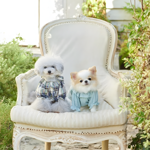 Comfortable Pet Clothing