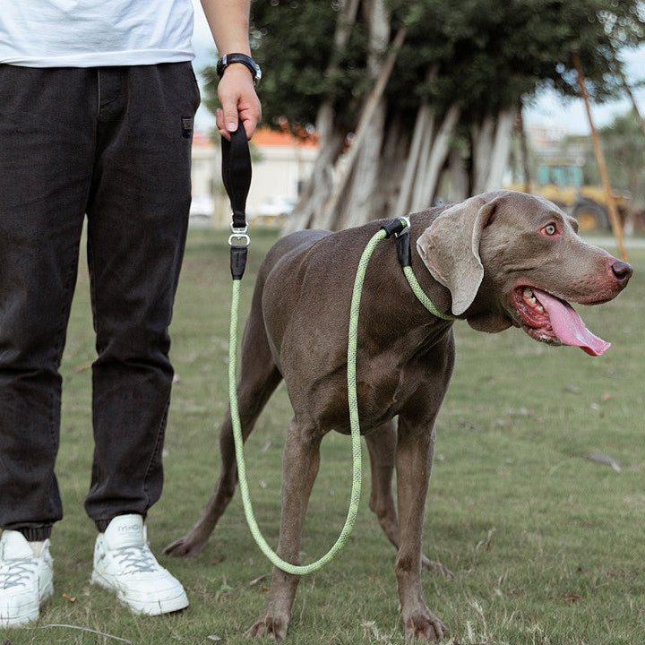 Fashion Simple Pet Dog Leash: The Ultimate Accessory for Your Furry Friend