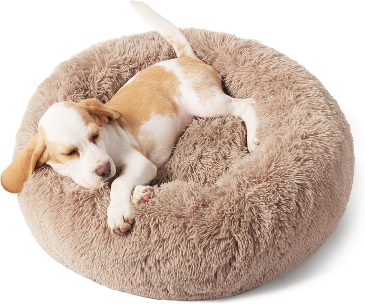Discover the Comfort of Our Indoor Solid Color Non-slip Round Fluffy Plush Pet Bed