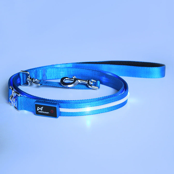 Light Up Your Pet's Walks: The Creative LED USB Charging Luminous Pet Leash