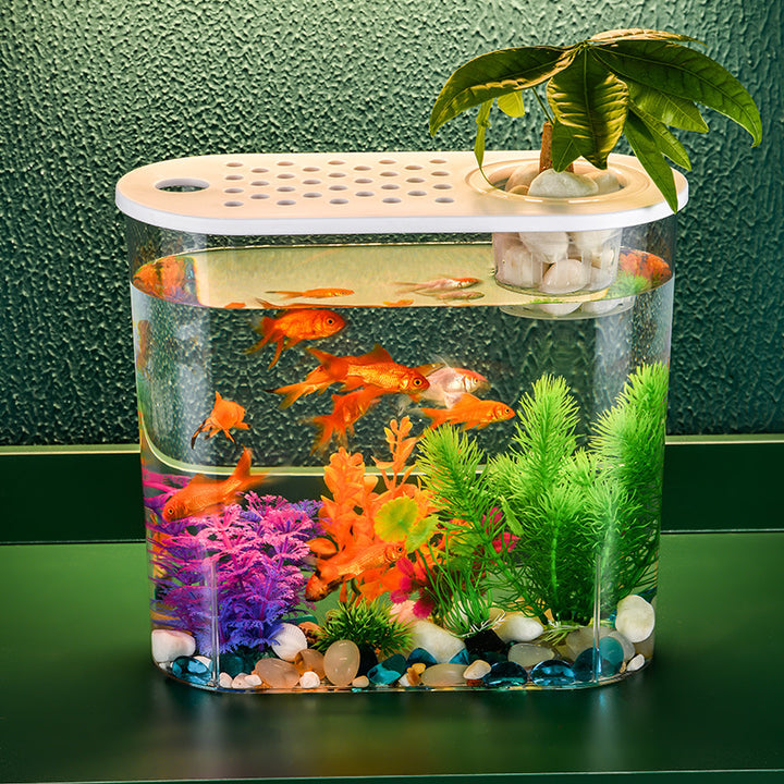 Acrylic Transparent Ecological Goldfish Tank