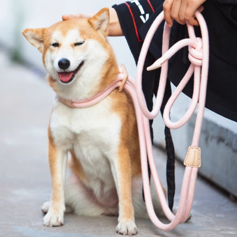 Pet Multi-functional Chest Harness