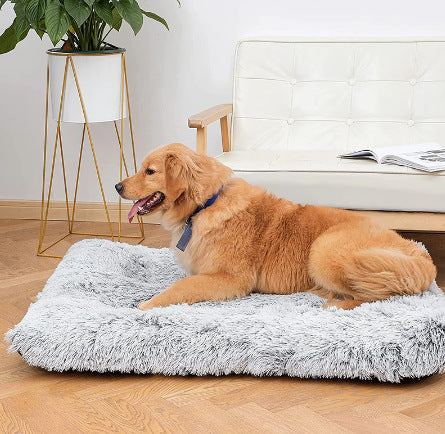 Wave Memory Foam Deep Sleep Dog Sofa Bed