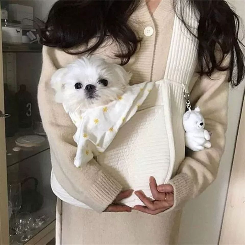 Handmade Pet Cat Kitten Carrier