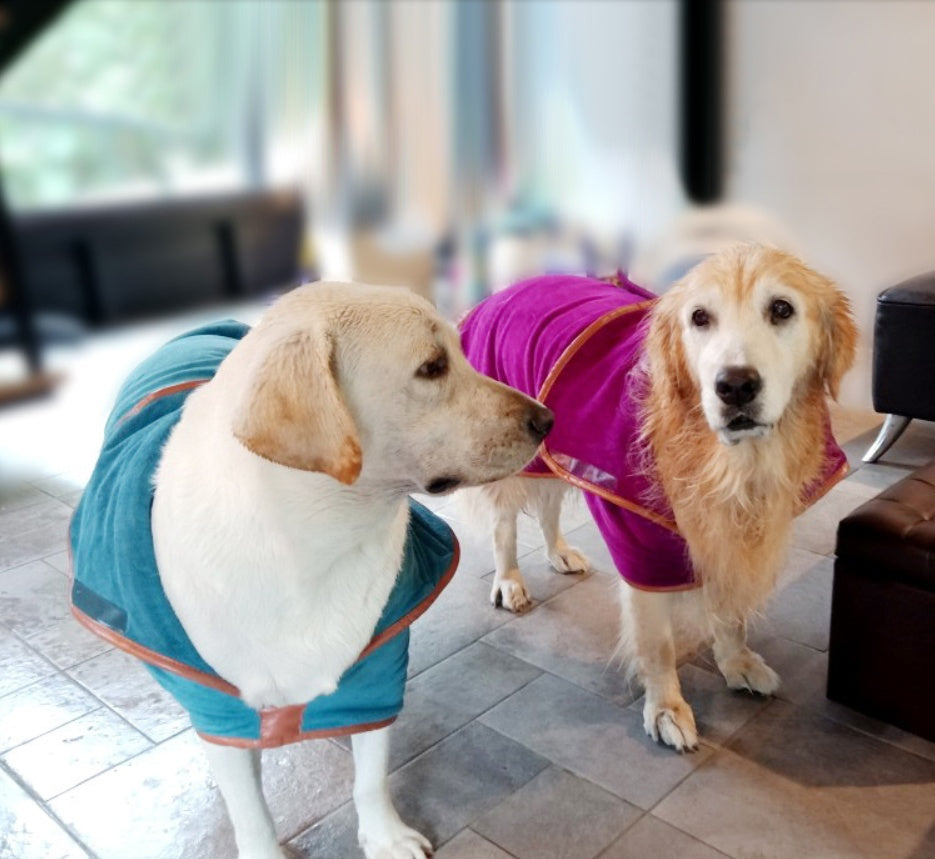 Pet Quick-Drying Absorbent Towel