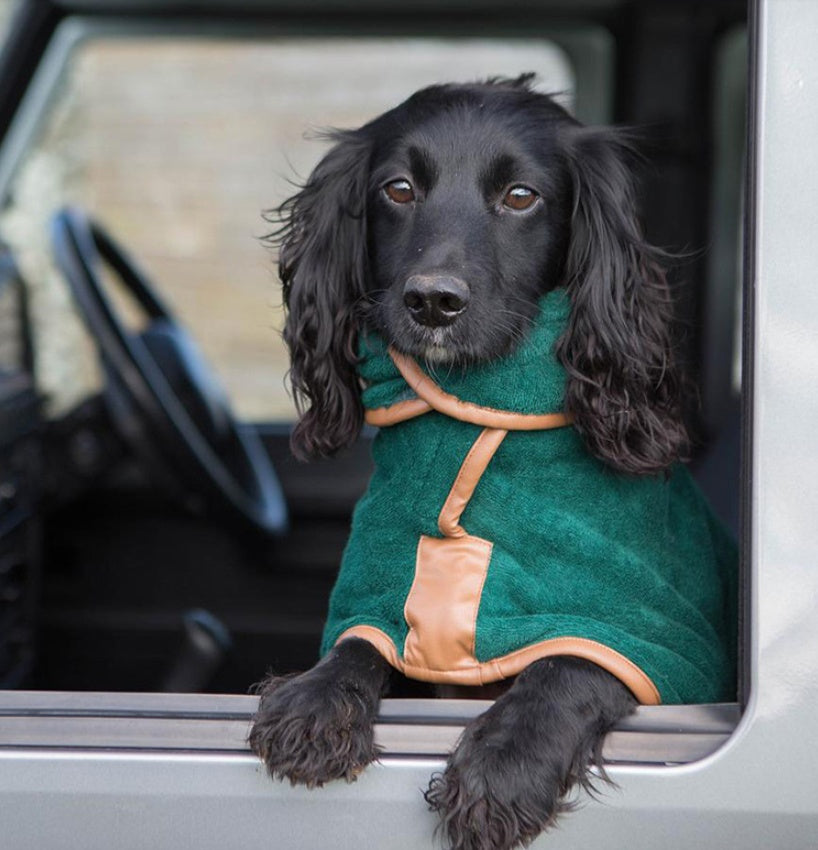 Pet Quick-Drying Absorbent Towel