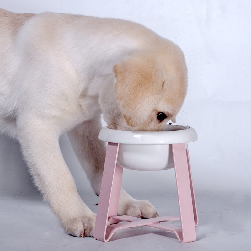 Pet Creative Antislip Dog Feeding Bowl