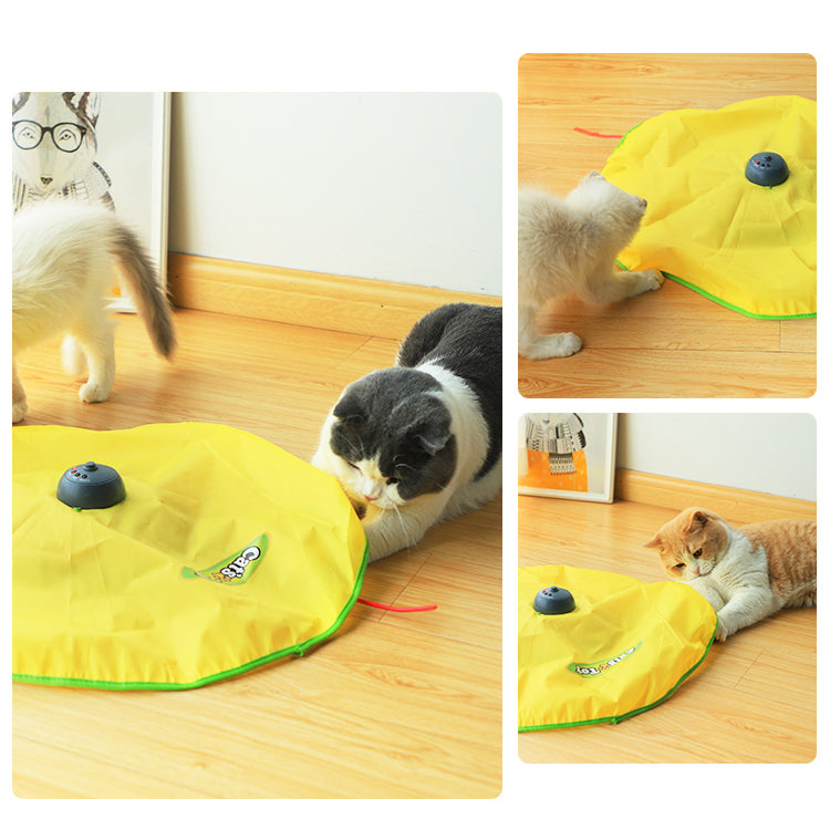Self-Hey Cat Turntable Automatic Rotating Electric Toy