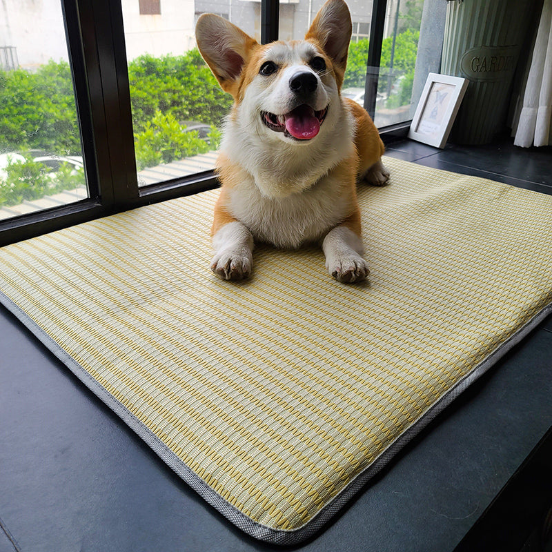 Dog Mat Sleeping With Pet Summer Mat