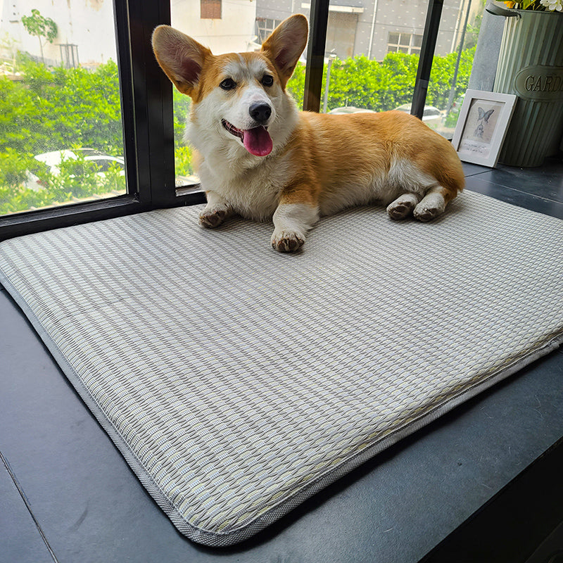 Dog Mat Sleeping With Pet Summer Mat