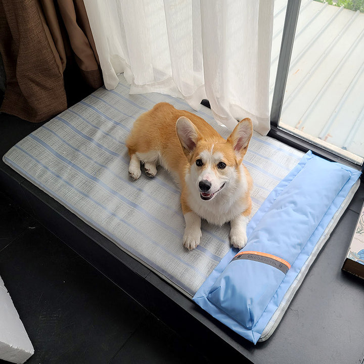 Dog Mat Sleeping With Pet Summer Mat