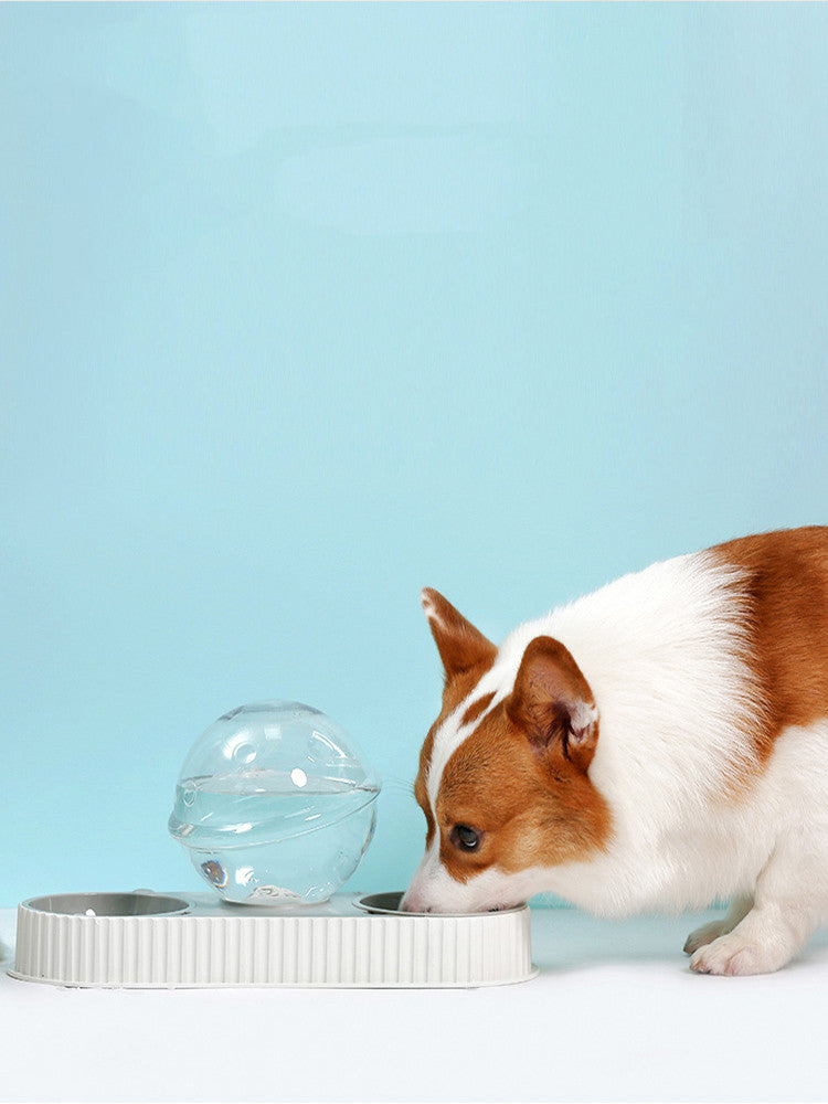 Automatic Feeder Drinking Animal Pet Bowl