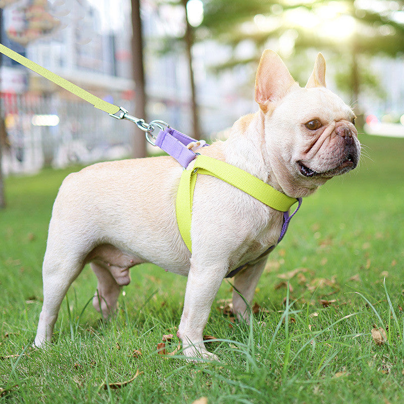 Color Pet Drawstring Leash Vest-style