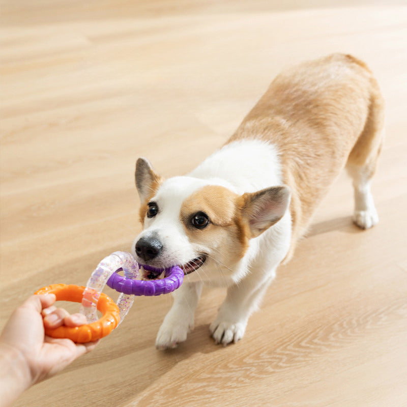 Pet Flying Disk Training Ring Interactive Toy