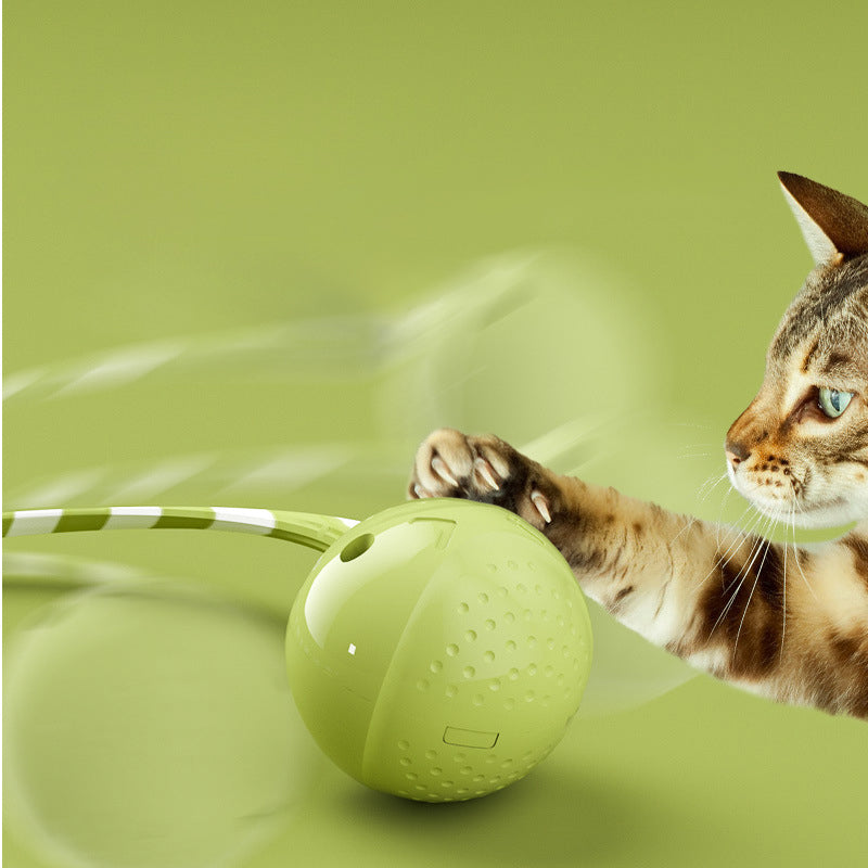 Interactive Electric Balls Pet Toy With Touch Sensor