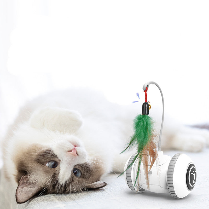 Interactive With Interchangeable Heads Pet Feather Toys