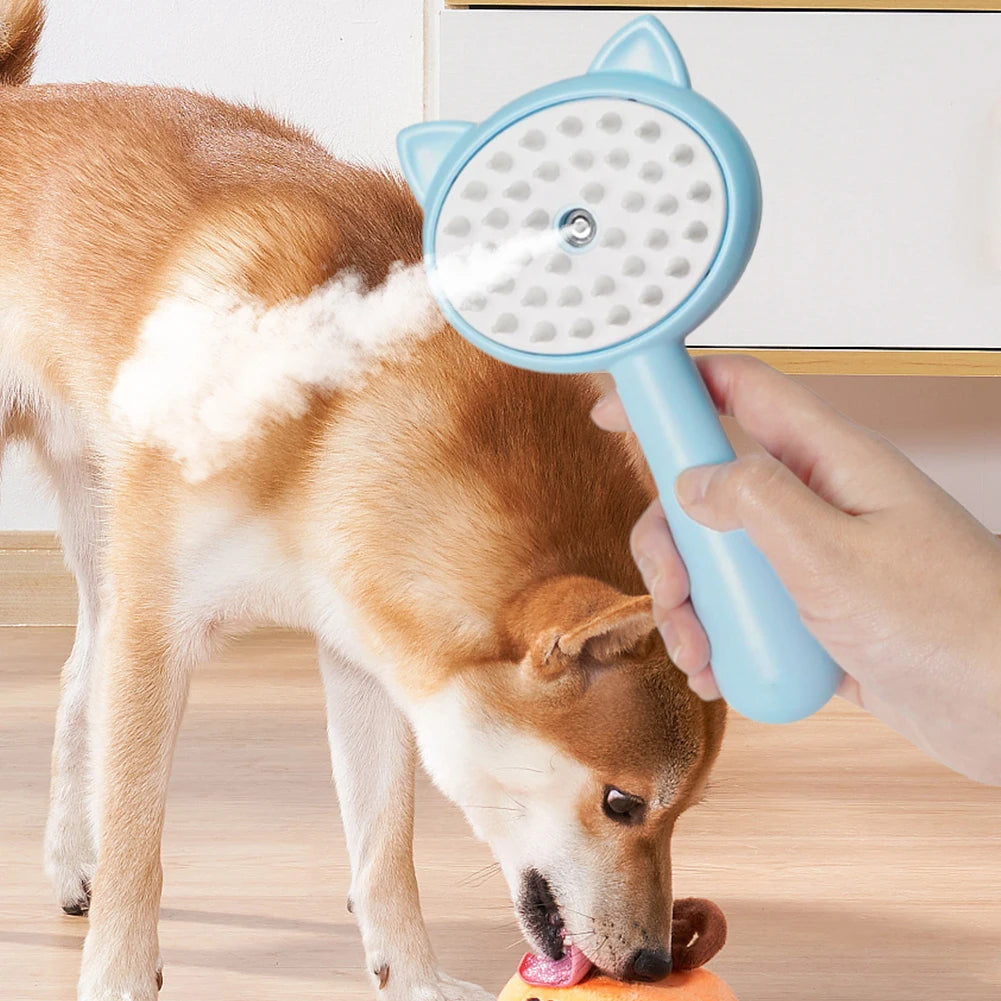 Hair Cleaning Brush With Mist
