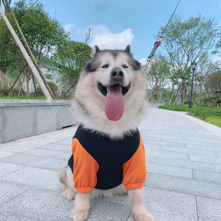 Pet Without Hat Parent-child Sweater Clothes