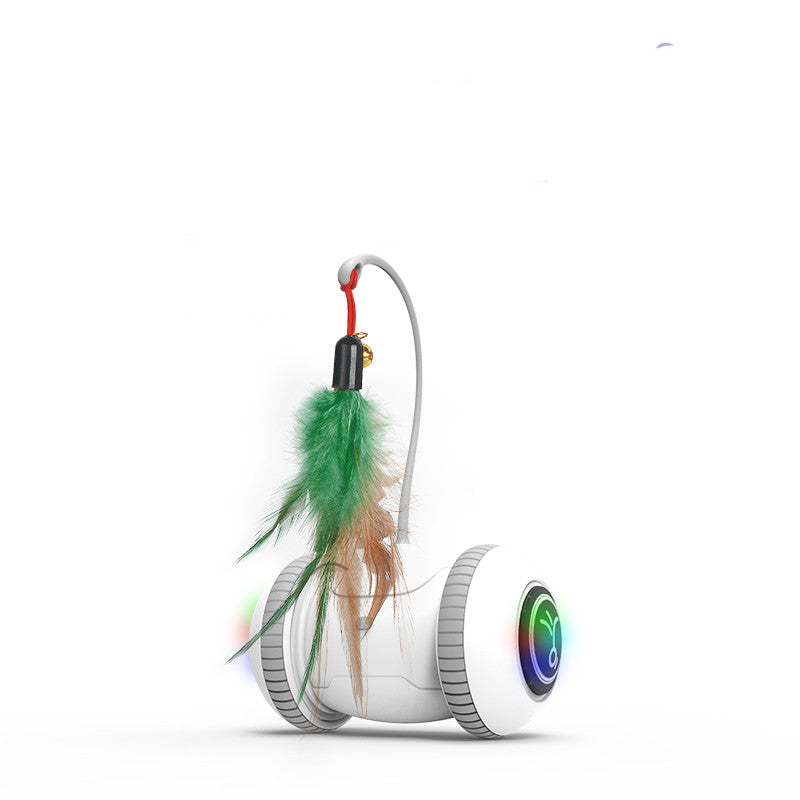 Interactive With Interchangeable Heads Pet Feather Toys