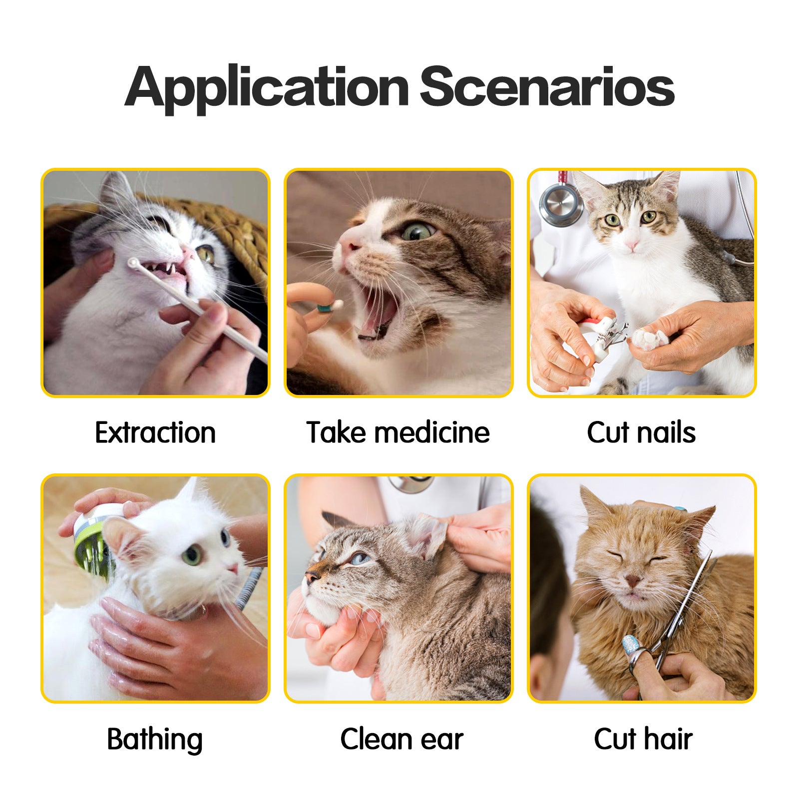Anti Scratch And Bite Pet Bags