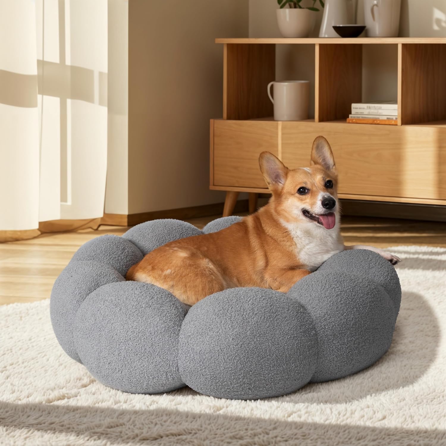 Calming And Fluffy Flower Beds For Cats