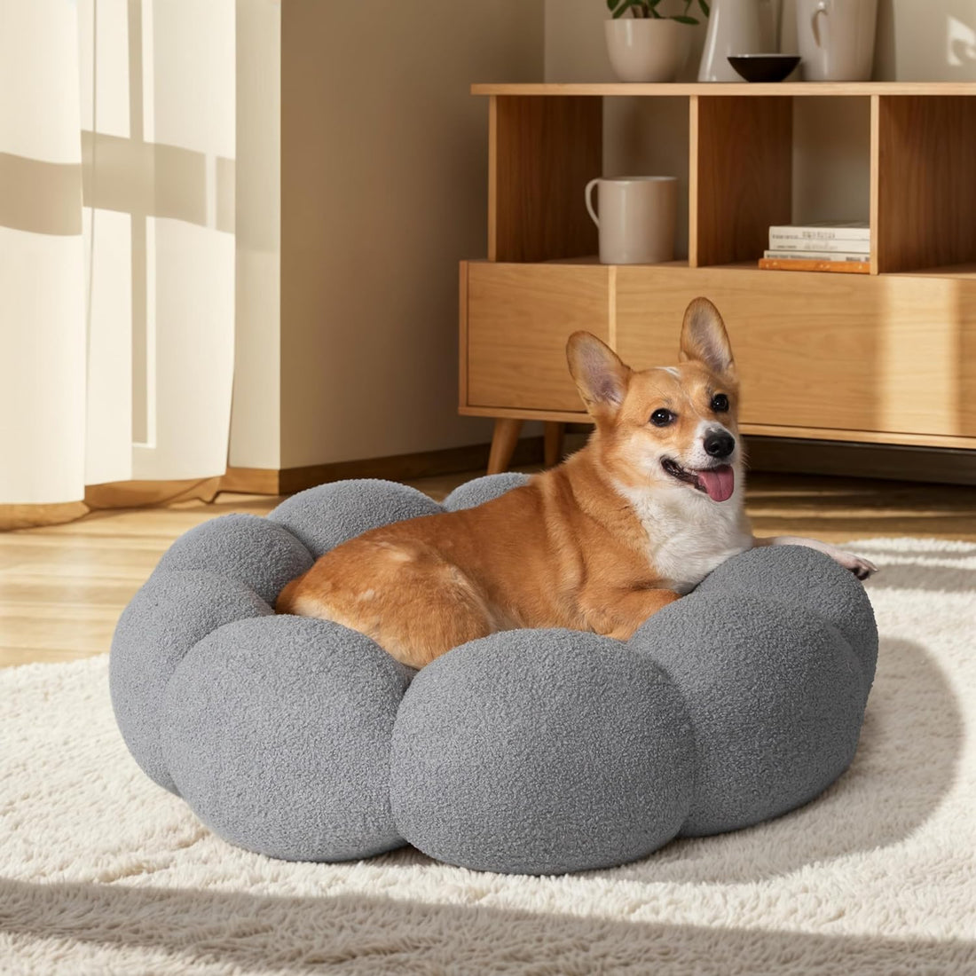 Calming And Fluffy Flower Beds For Cats
