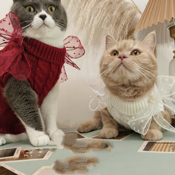 Pet Super Cute Sweater
