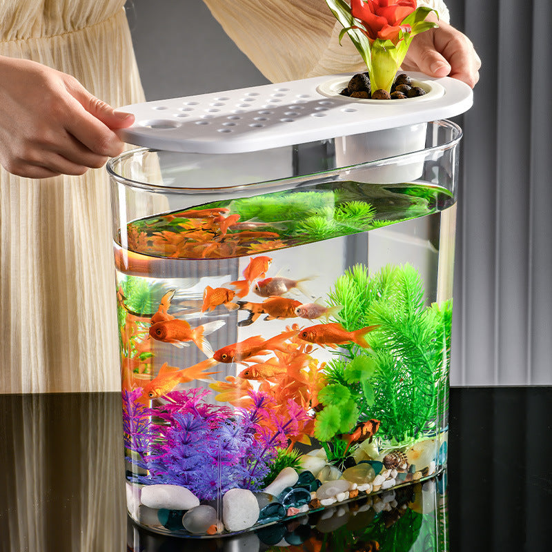 Acrylic Transparent Ecological Goldfish Tank