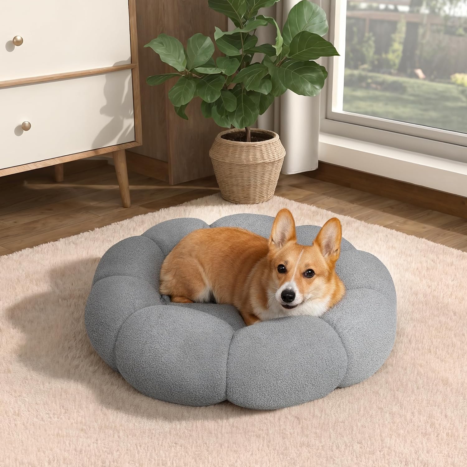 Calming And Fluffy Flower Beds For Cats