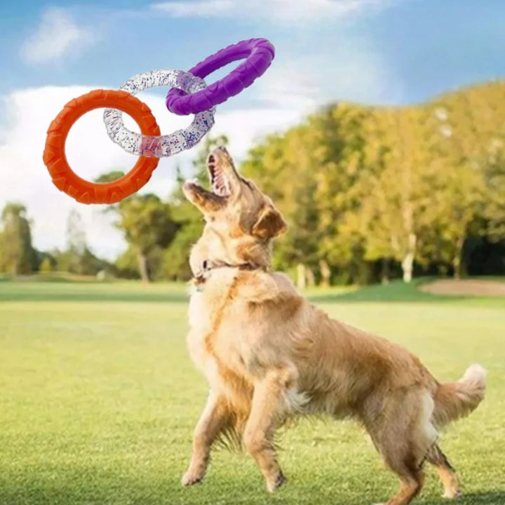 Pet Flying Disk Training Ring Interactive Toy