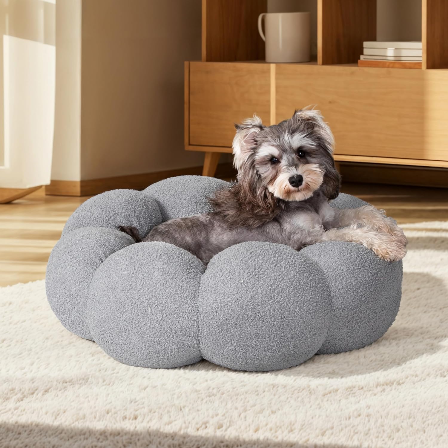 Calming And Fluffy Flower Beds For Cats