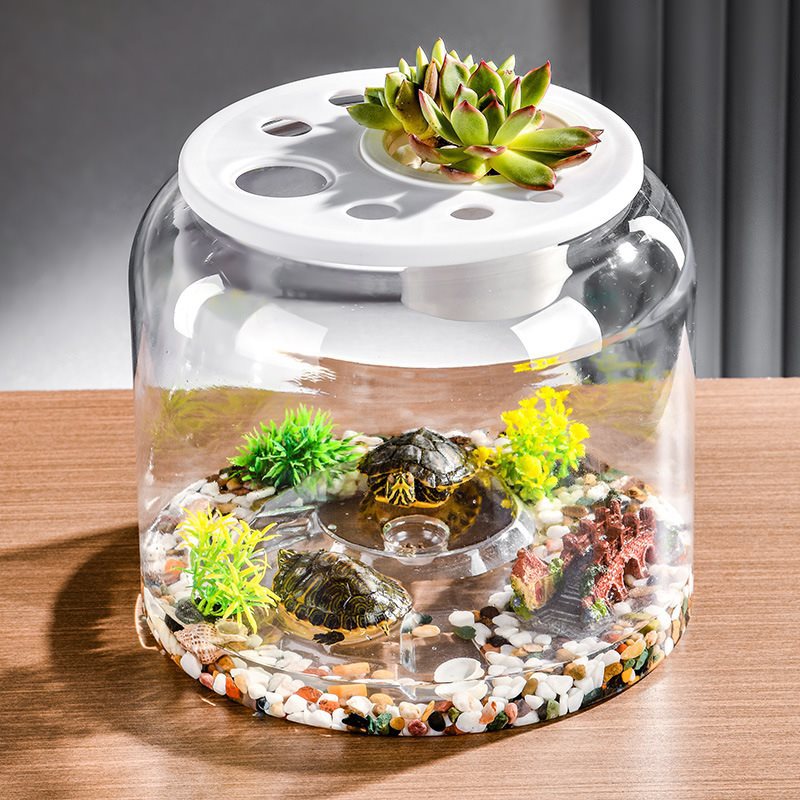 Transparent Plastic Ecological Fish Tank