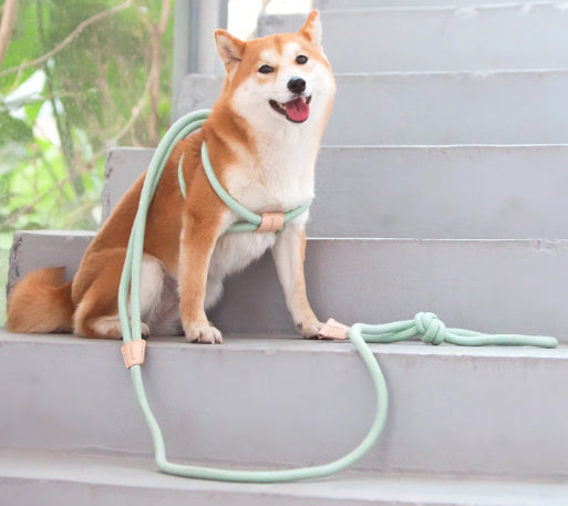 Pet Multi-functional Chest Harness