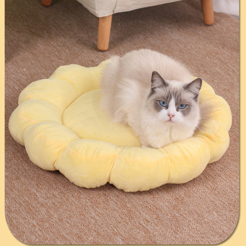 Multi Color Double Sided Short Plush Comfortable Beds