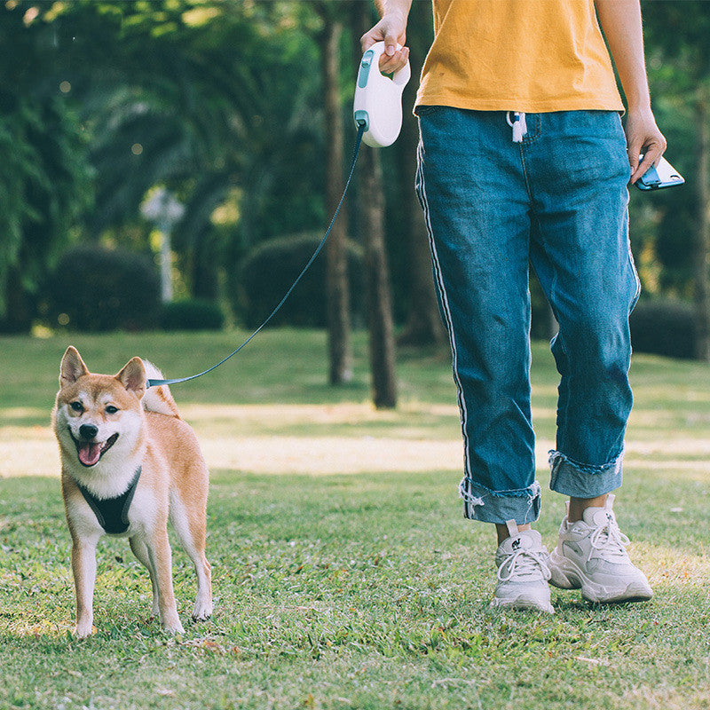 Pet Retractable Leash For Small