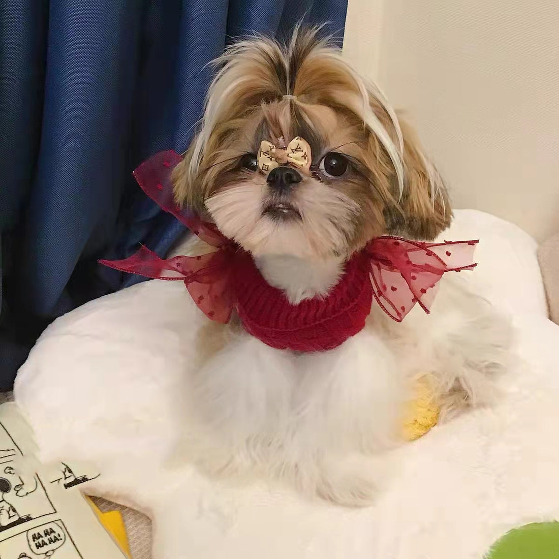 Pet Super Cute Sweater