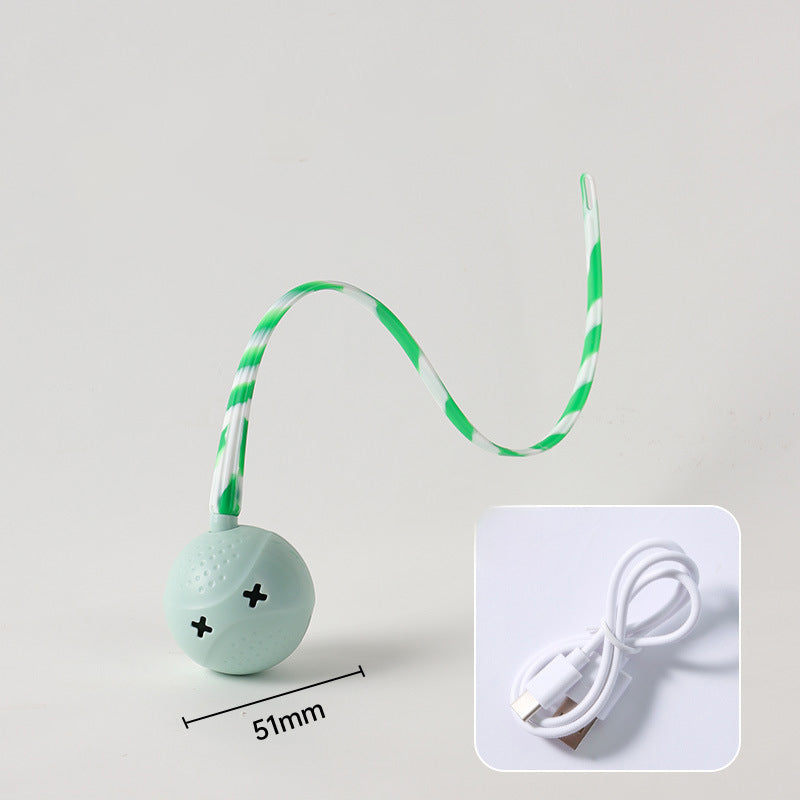 Interactive Electric Balls Pet Toy With Touch Sensor