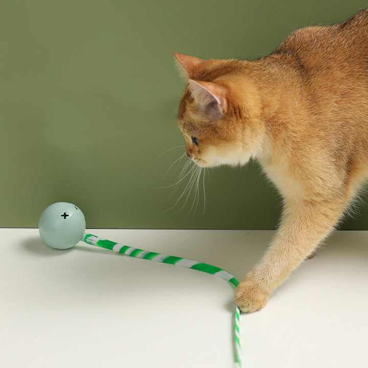 Interactive Electric Balls Pet Toy With Touch Sensor