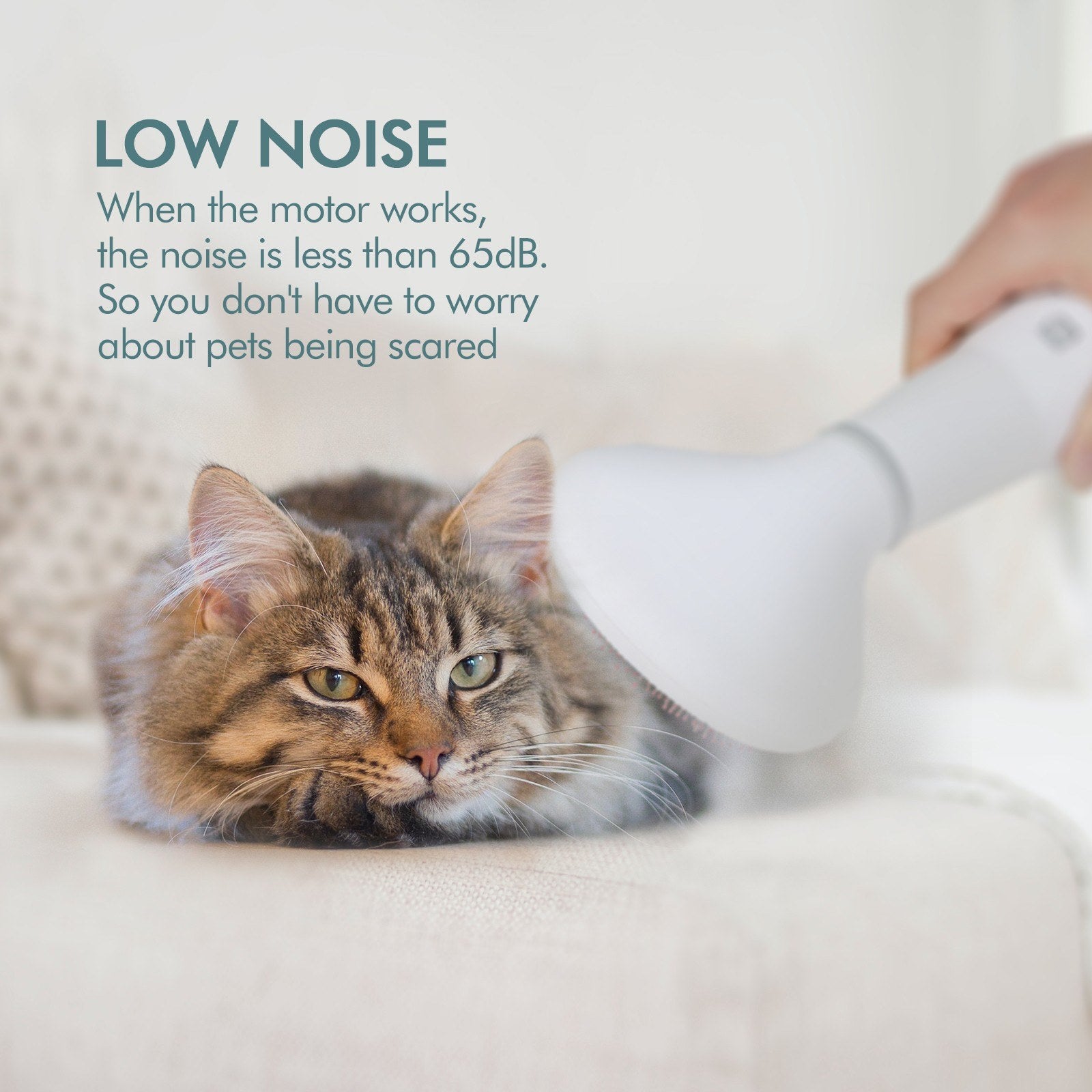 Pet Dog Hair Dryer Grooming Dryer