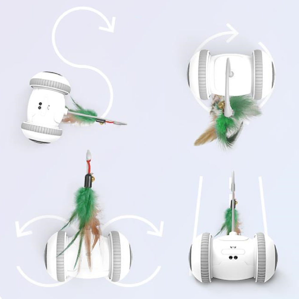 Interactive With Interchangeable Heads Pet Feather Toys