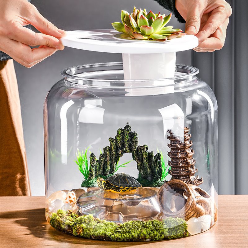Transparent Plastic Ecological Fish Tank
