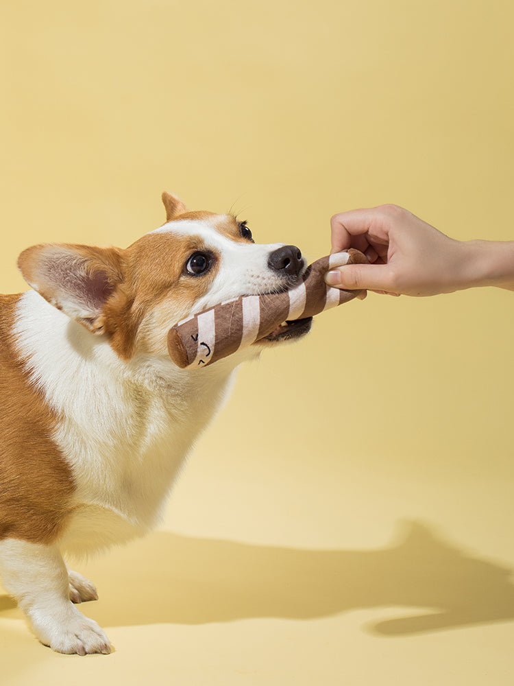 Puppy Plush Educational Toys