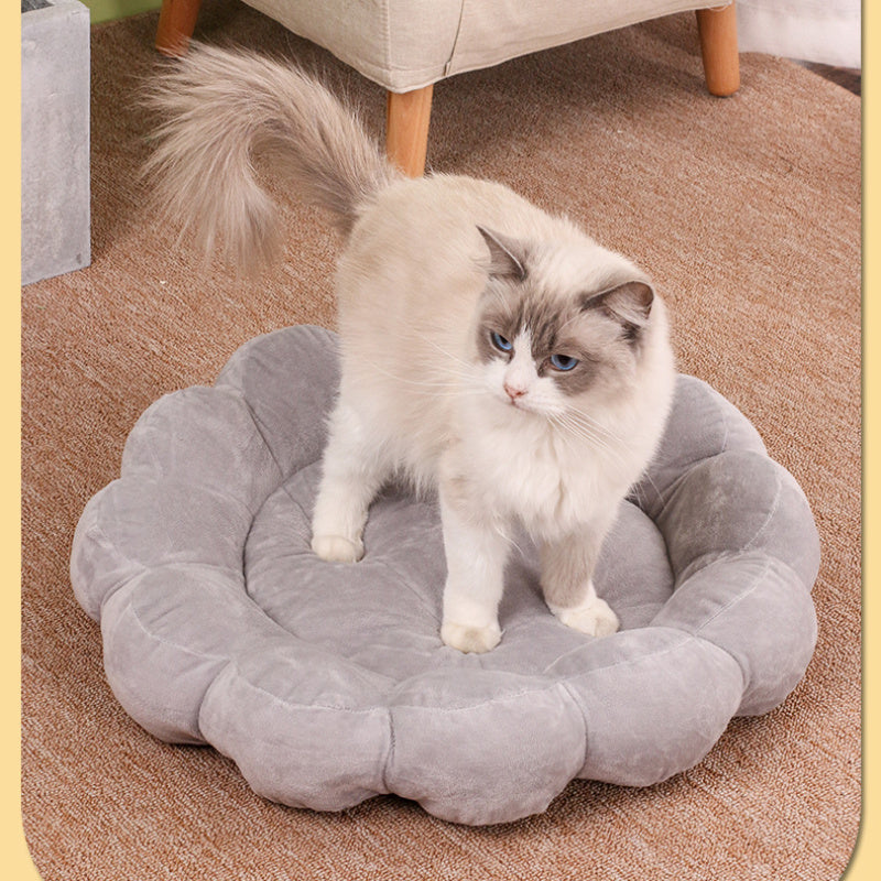 Multi Color Double Sided Short Plush Comfortable Beds