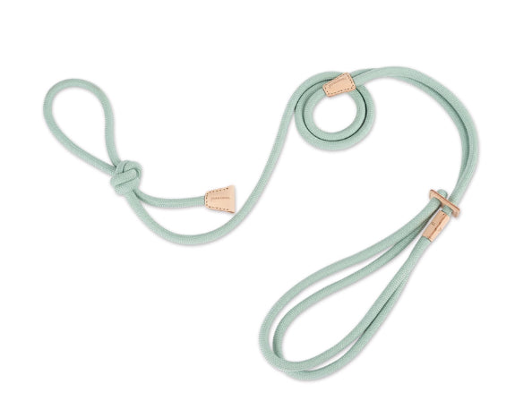 Pet Multi-functional Chest Harness