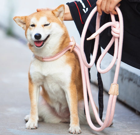 Pet Multi-functional Chest Harness