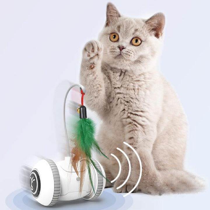Interactive With Interchangeable Heads Pet Feather Toys